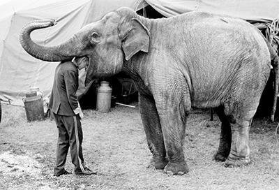 Martin Parr Foundation