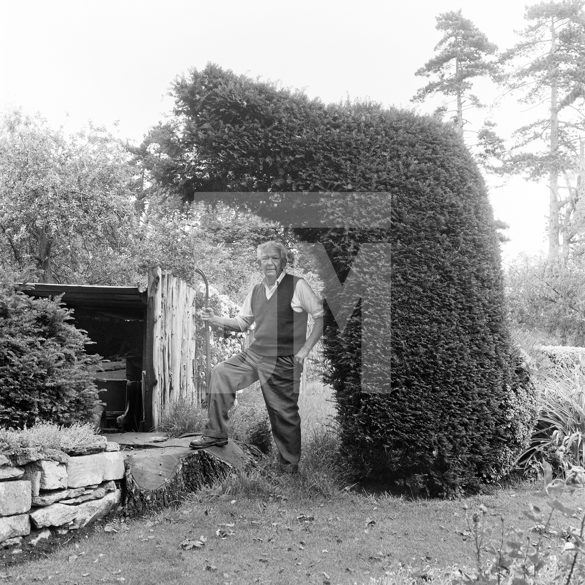 Sonny Cook, gardener, beneath yew hedge grown against where an elm tree had been felled following the epidemic of Dutch elm disease which devastated the UK’s stock of elms in the early 1970s. Great Washbourne, Gloucestershire. July 1974 by Daniel Meadows