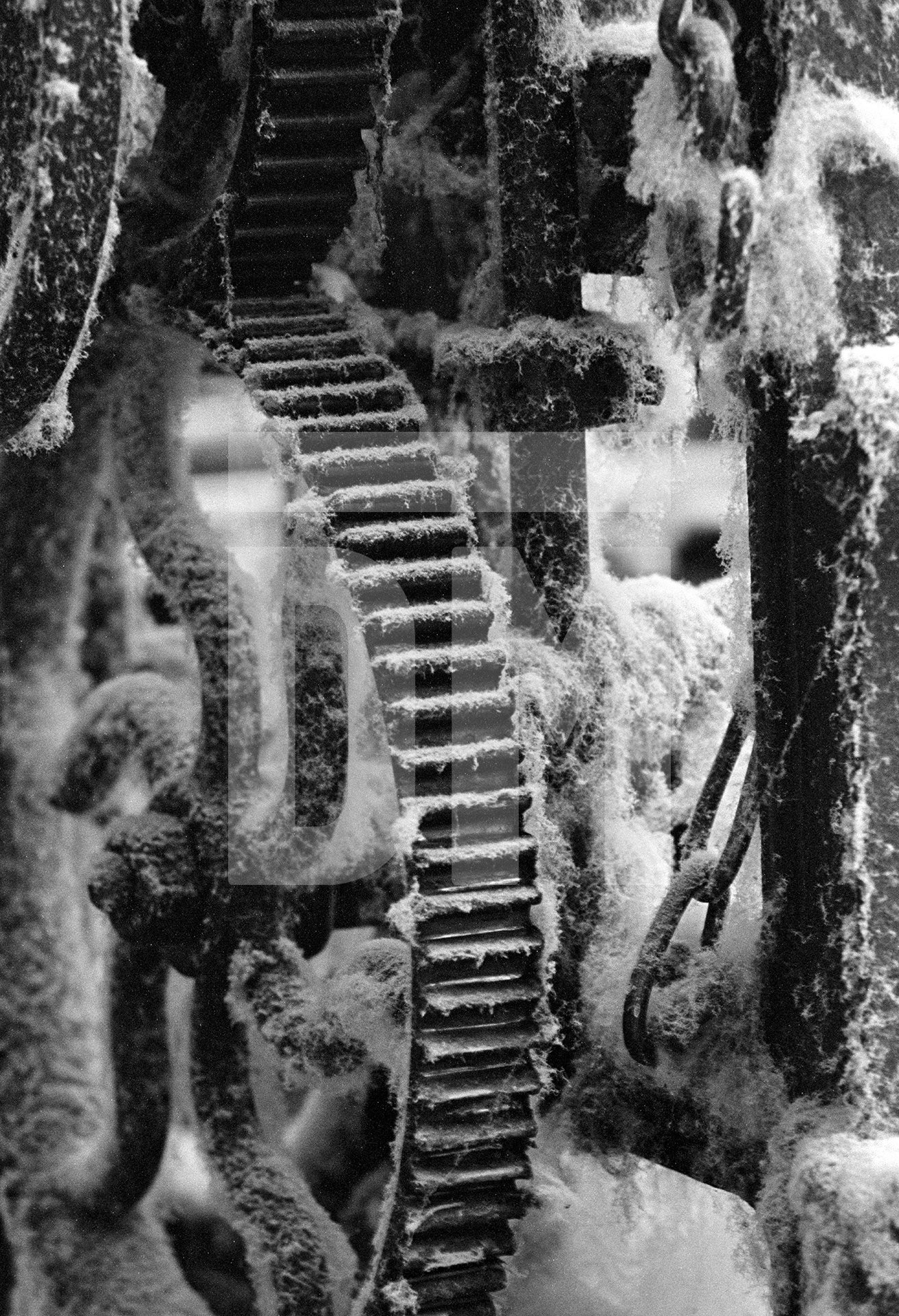 In the weaving shed, loom parts with cotton dust (‘dawn’). September 1976 by Daniel Meadows