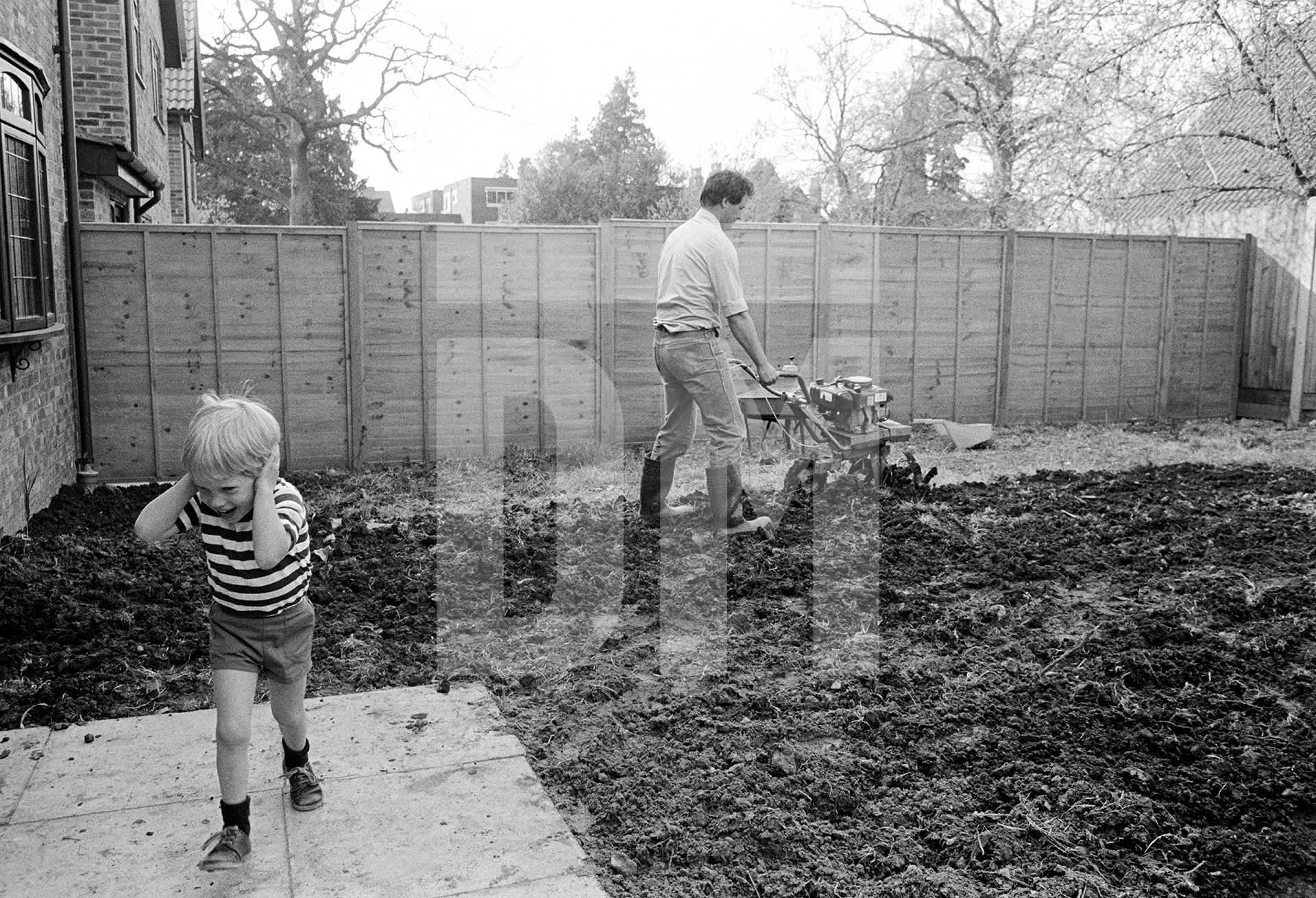 Rotavating the garden, Shortlands, Kent. April 1985 by Daniel Meadows