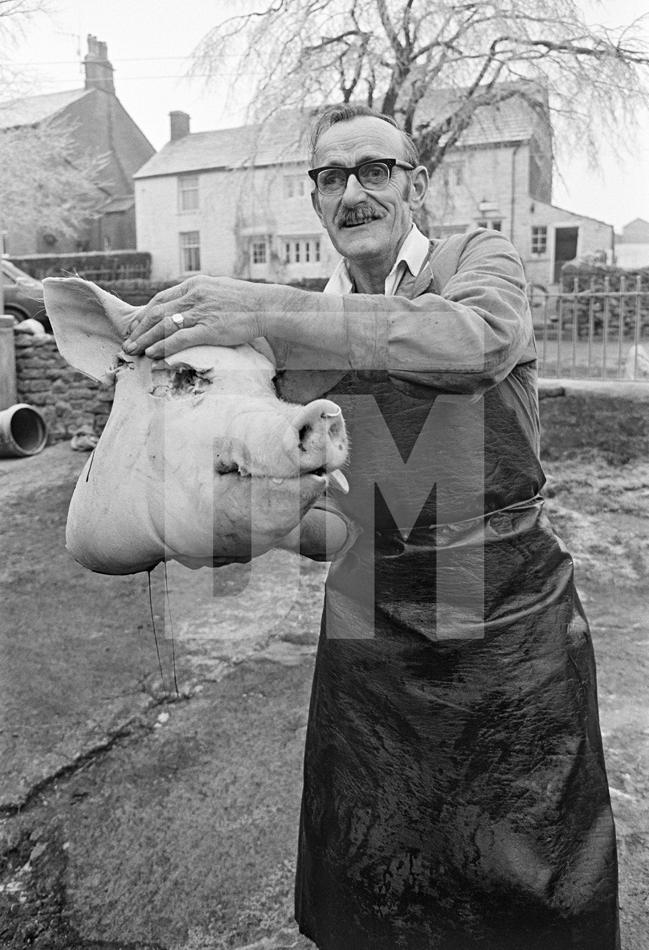 Butcher’s assistant Jim Woodhouse with the pig’s head. North Yorkshire 1976 by Daniel Meadows