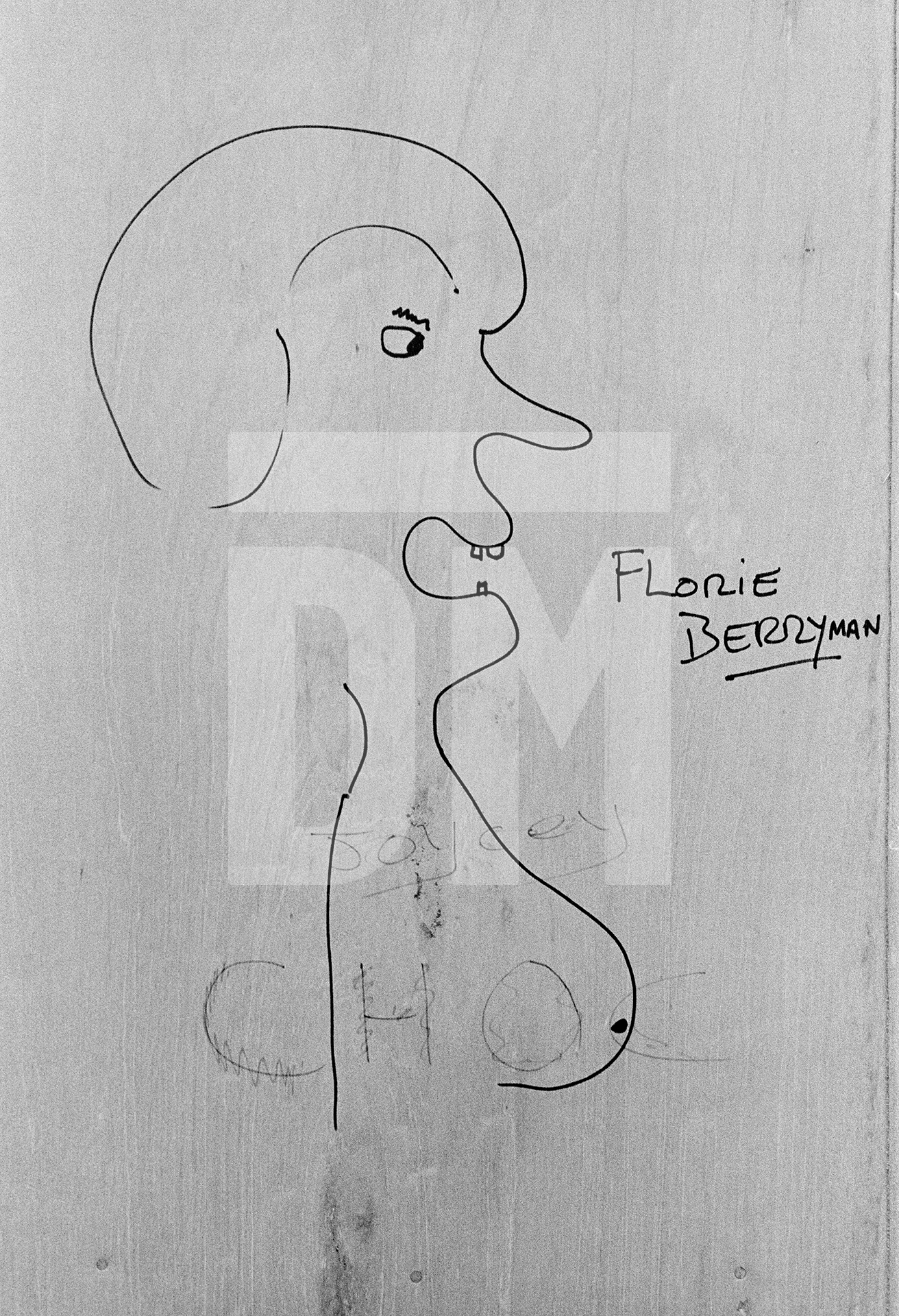 ‘Florie Berryman’. Bessemer Park, Co. Durham. March 1983 by Daniel Meadows