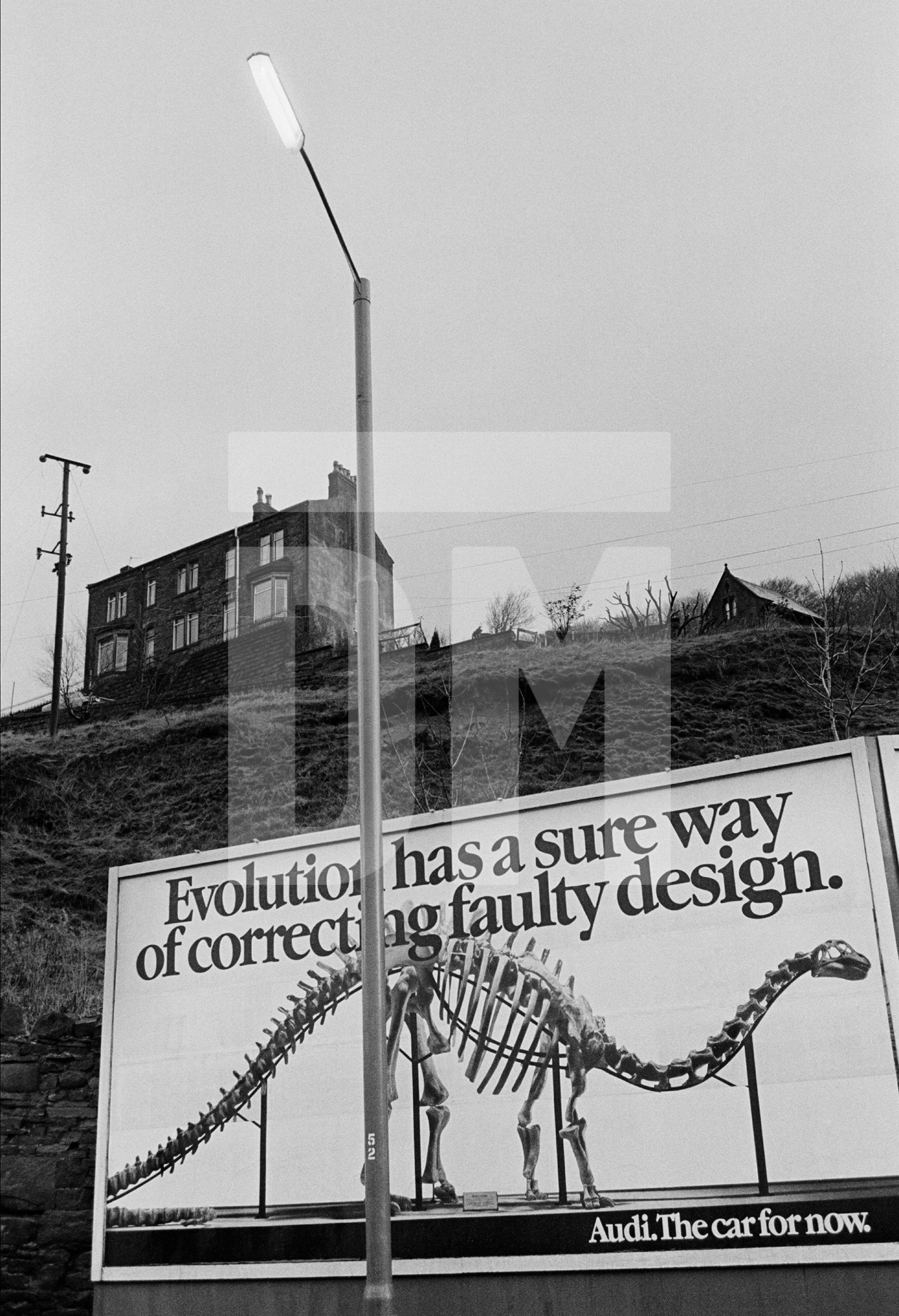Dinosaur, billboard, street lamp, row of terraces, West Yorkshire. December 1979 by Daniel Meadows