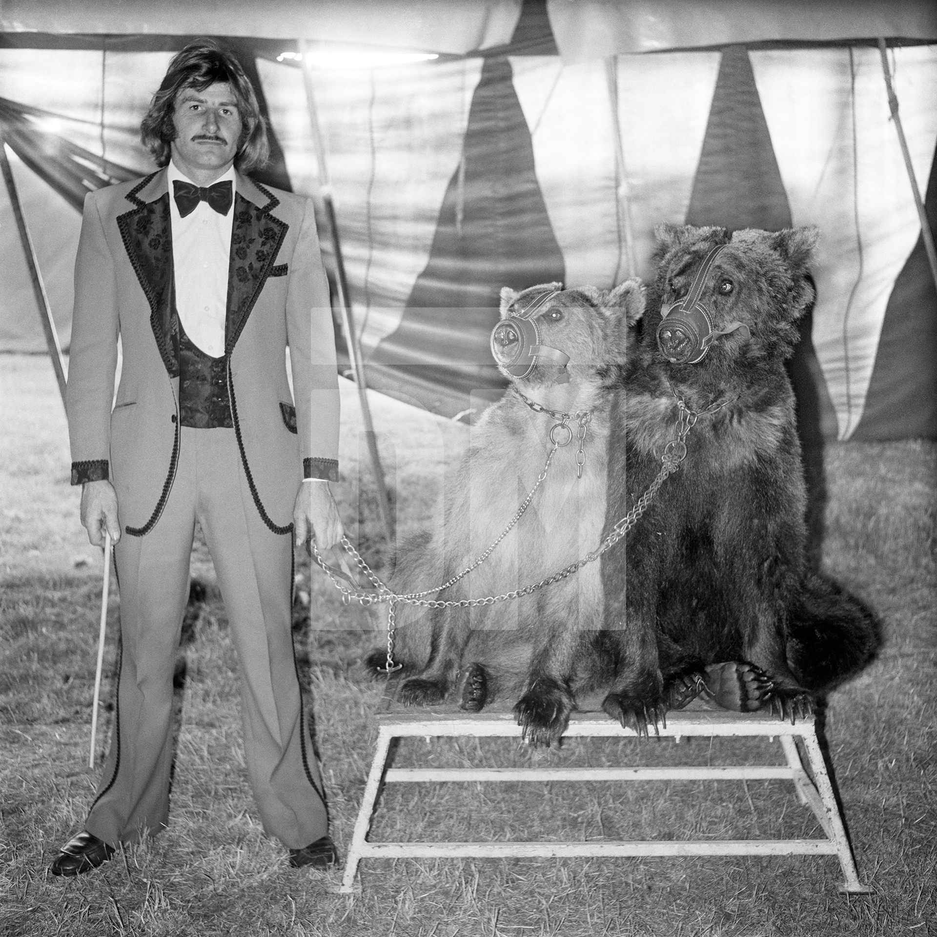 Peter Hoffman of Circus Hoffman, with bears, Weymouth, Dorset. July 1974 by Daniel Meadows