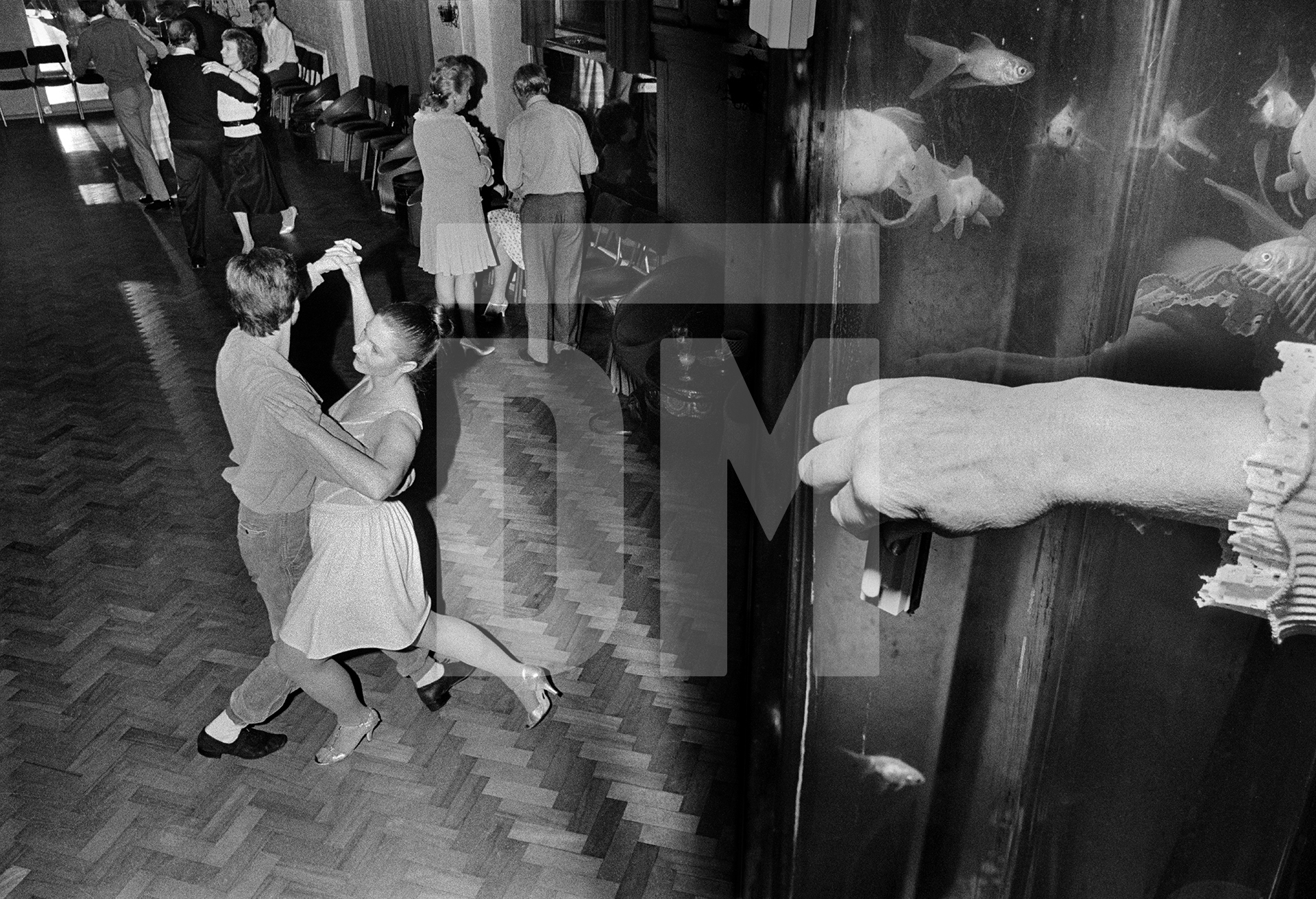 Dancing school, cleaning fish tank, Bickley. April 1985 by Daniel Meadows