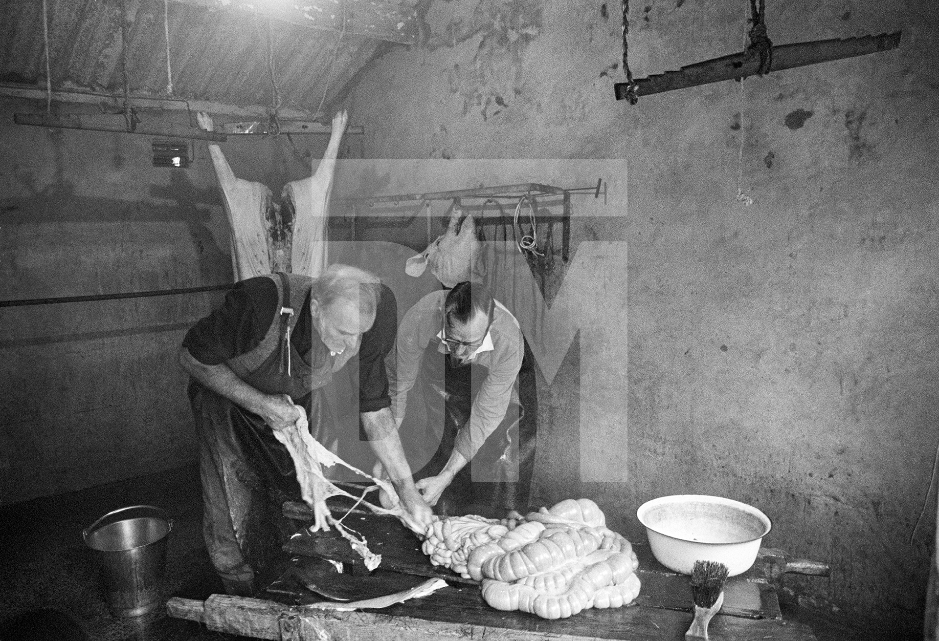 Separating the chitterlings. North Yorkshire 1976 by Daniel Meadows