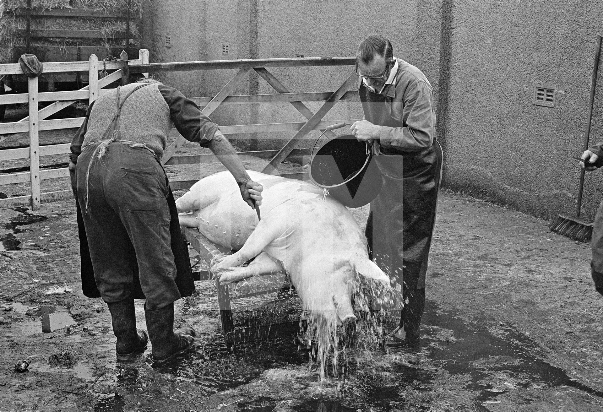 Washing off. North Yorkshire 1976 by Daniel Meadows