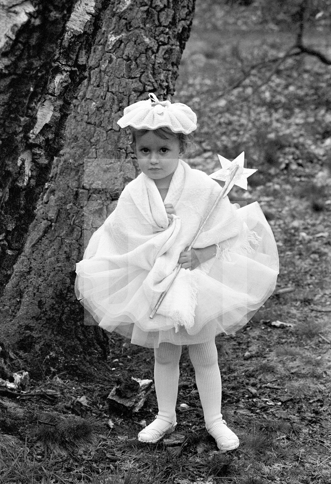 Merrie England & London May Queen festival, Hayes Common, Kent. May 1985 by Daniel Meadows