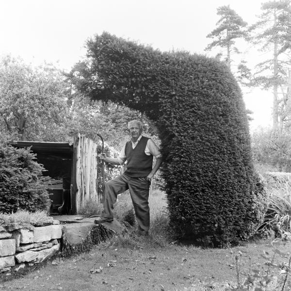 Sonny Cook, gardener, beneath yew hedge grown against where an elm tree had been felled following the epidemic of Dutch elm disease which devastated the UK’s stock of elms in the early 1970s. Great Washbourne, Gloucestershire. July 1974