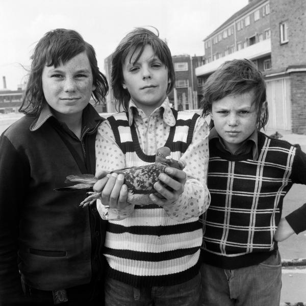 John Payne aged 11 with his pigeon Chequer and friends the White brothers: left Michael, right Kalvin. Portsmouth. Friday 26 April 1974