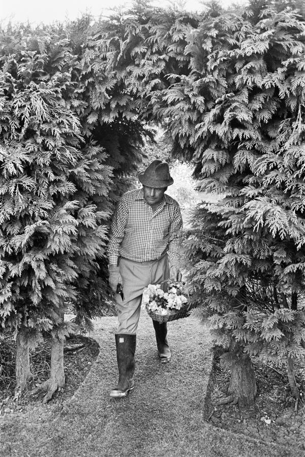 Julian Bream gardening
