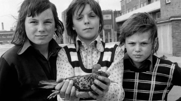 John Payne aged 11 with his pigeon Chequer and friends Michael and Kalvin White. Portsmouth. Friday 26 April 1974