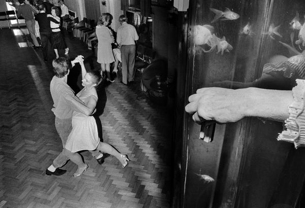 Dancing school, cleaning fish tank, Bickley. April 1985