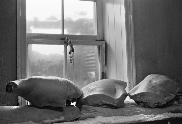 Hams in the larder. North Yorkshire 1976