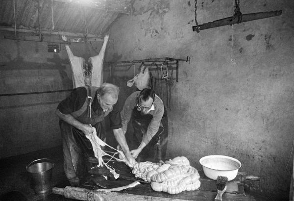 Separating the chitterlings. North Yorkshire 1976