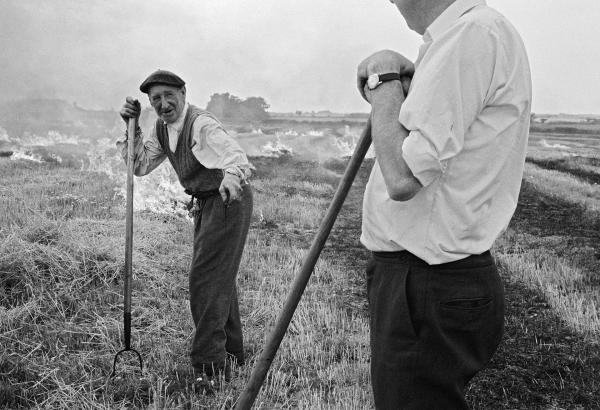 Stubble burning, Norfolk. August 1974