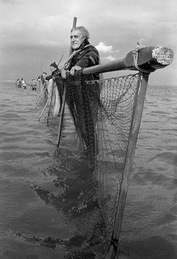Haafnet fishing, near Port Carlisle, Bowness-on-Solway. September 1974